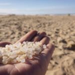 RECOGIDA PELLETS PLÁSTICOS PLAYA XAGÓ