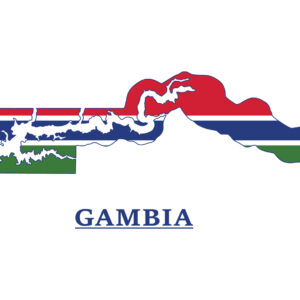 INTERVENCIÓN EN GAMBIA