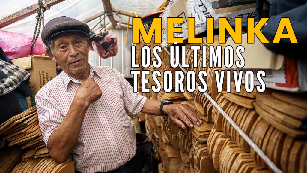 MAESTROS DEL CIPRÉS | Los últimos tesoros vivos de Melinka